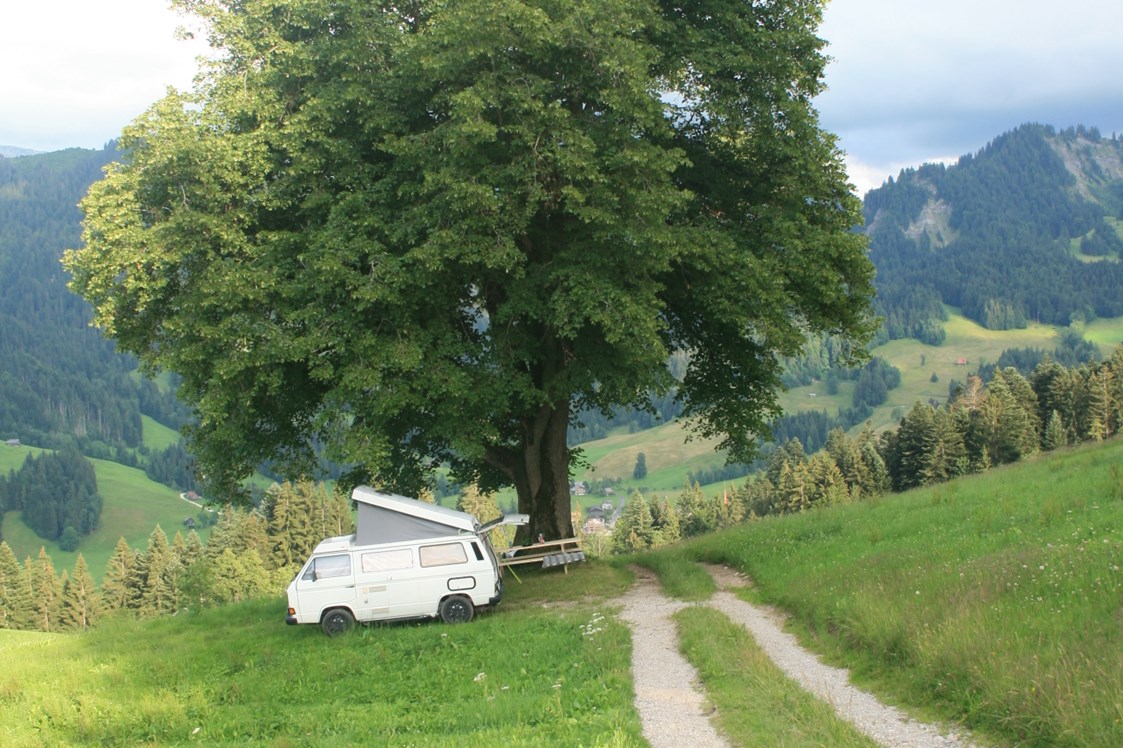 Wohnmobilstellplatz: Das Camp Linde für ein Fahrzeug oder mehrere Zelte - Müller`s Campingplätze